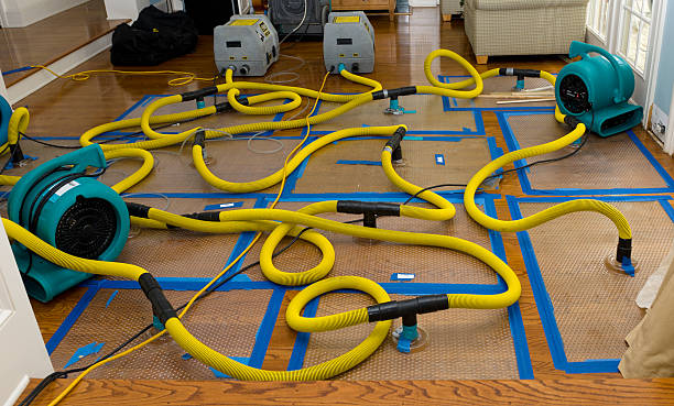 Professional Water Damage Restoration technician working in Selma, CA